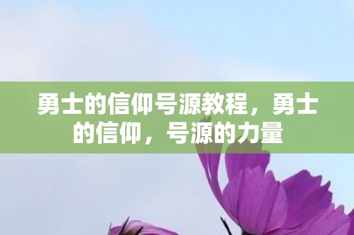 勇士的信仰号源教程，勇士的信仰，号源的力量