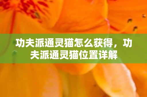 功夫派通灵猫怎么获得，功夫派通灵猫位置详解
