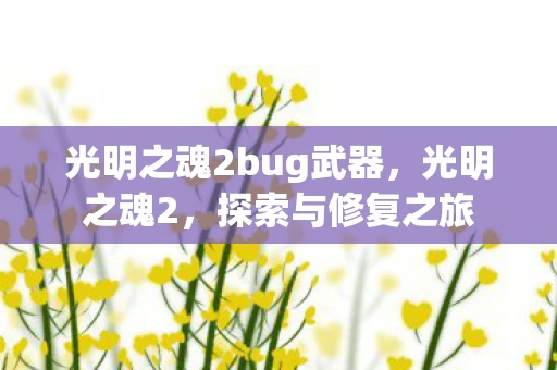 光明之魂2bug武器，光明之魂2，探索与修复之旅