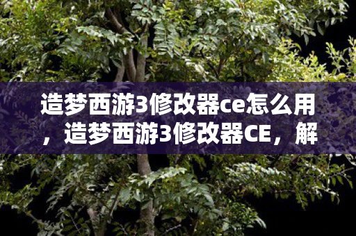 造梦西游3修改器ce怎么用，造梦西游3修改器CE，解锁游戏新境界的必备工具
