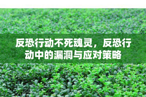 反恐行动不死魂灵，反恐行动中的漏洞与应对策略