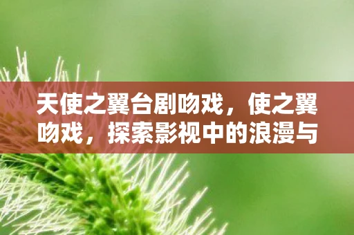 天使之翼台剧吻戏，使之翼吻戏，探索影视中的浪漫与激情