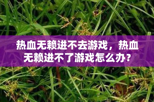 热血无赖进不去游戏，热血无赖进不了游戏怎么办？