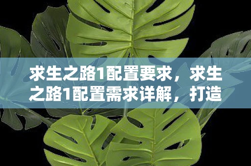 求生之路1配置要求，求生之路1配置需求详解，打造流畅游戏体验