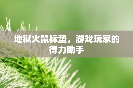 游戏玩家的得力助手图片