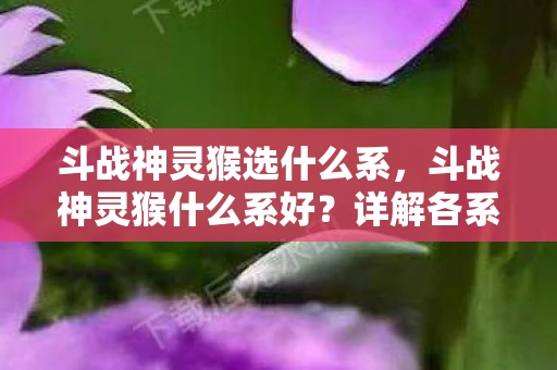 斗战神灵猴选什么系，斗战神灵猴什么系好？详解各系优劣助你做出选择