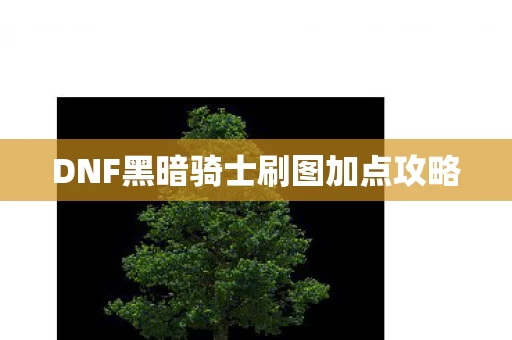 DNF黑暗骑士刷图加点攻略图片
