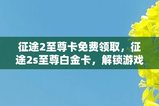 征途2至尊卡免费领取，征途2s至尊白金卡，解锁游戏世界的无限可能