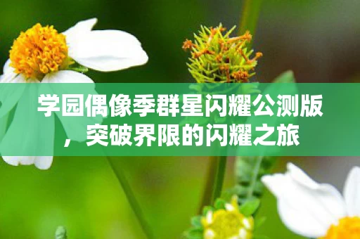 学园偶像季群星闪耀公测版图片