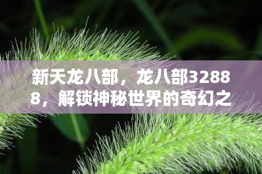 新天龙八部，龙八部32888，解锁神秘世界的奇幻之旅