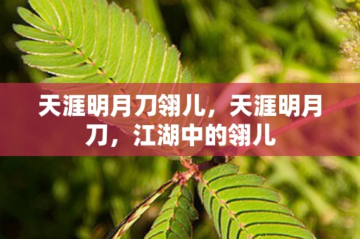 天涯明月刀翎儿，天涯明月刀，江湖中的翎儿