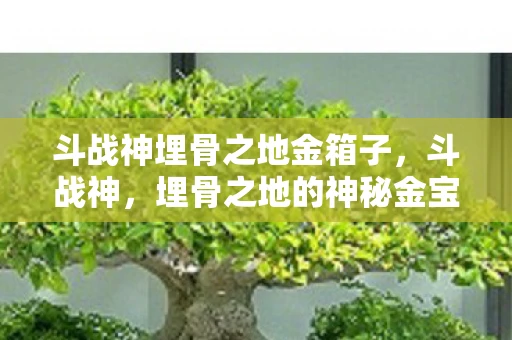 斗战神埋骨之地金箱子，斗战神，埋骨之地的神秘金宝箱