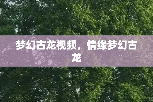 梦幻古龙视频，情缘梦幻古龙