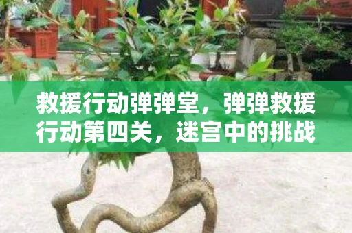 救援行动弹弹堂，弹弹救援行动第四关，迷宫中的挑战