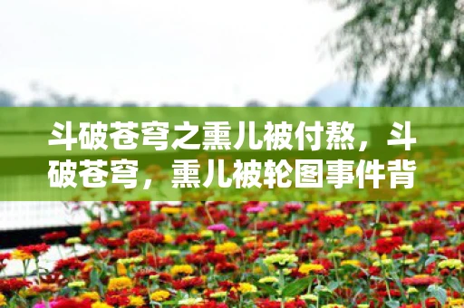 斗破苍穹之熏儿被付熬，斗破苍穹，熏儿被轮图事件背后的真相与反思