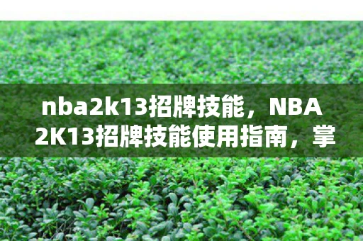 nba2k13招牌技能，NBA 2K13招牌技能使用指南，掌握这些技巧，提升你的游戏水平