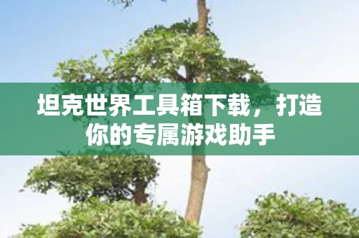 坦克世界工具箱下载，打造你的专属游戏助手