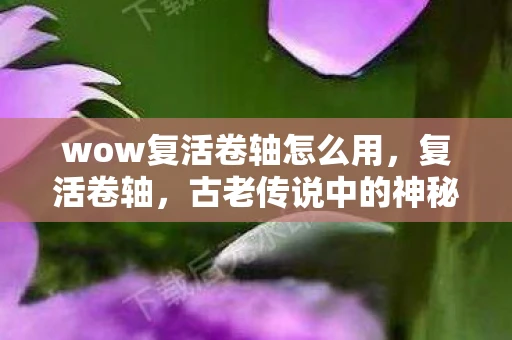 wow复活卷轴怎么用，复活卷轴，古老传说中的神秘宝物