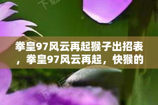拳皇97风云再起猴子出招表，拳皇97风云再起，快猴的崛起与传奇