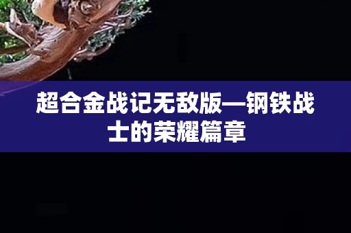 钢铁战士的荣耀篇章图片