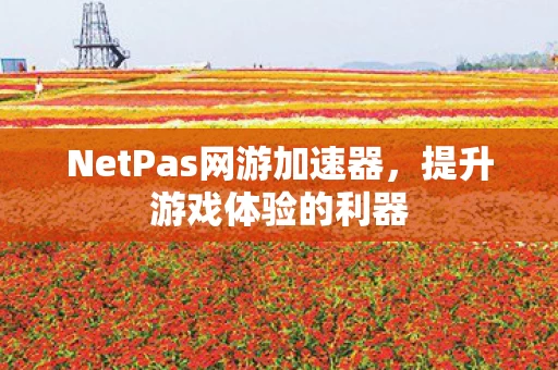 NetPas网游加速器图片