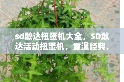 sd敢达扭蛋机大全，SD敢达活动扭蛋机，重温经典，重温童年