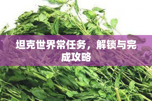 坦克世界常任务，解锁与完成攻略