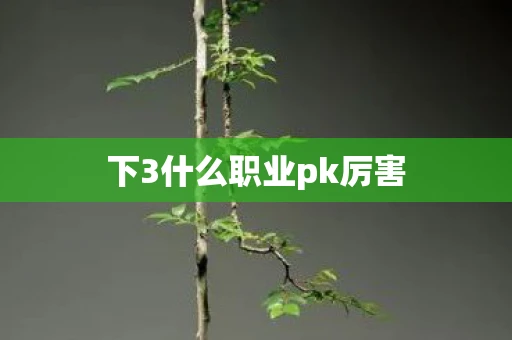 下3什么职业pk厉害