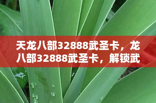 天龙八部32888武圣卡，龙八部32888武圣卡，解锁武侠世界的神秘钥匙