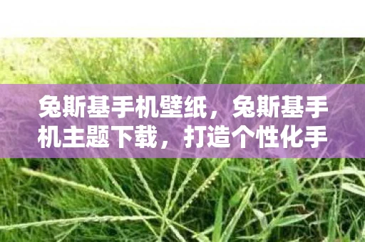 兔斯基手机壁纸，兔斯基手机主题下载，打造个性化手机界面的新选择