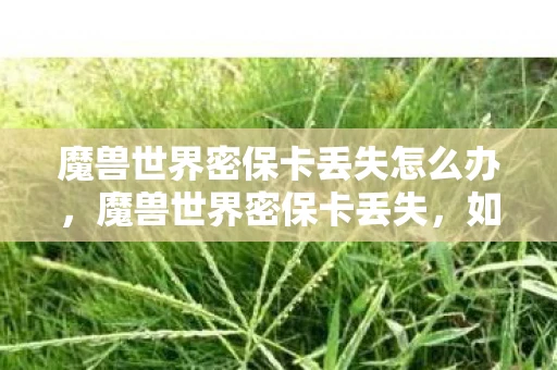 魔兽世界密保卡丢失怎么办，魔兽世界密保卡丢失，如何找回账号安全