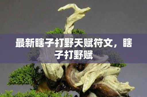 最新瞎子打野天赋符文，瞎子打野赋