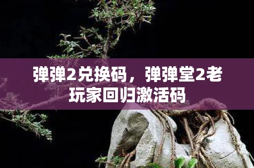 弹弹2兑换码，弹弹堂2老玩家回归激活码