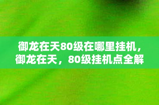 御龙在天80级在哪里挂机，御龙在天，80级挂机点全解析