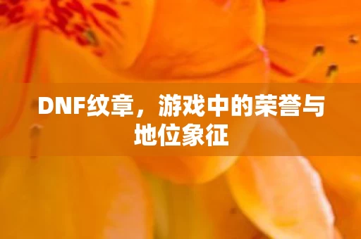 游戏中的荣誉与地位象征图片