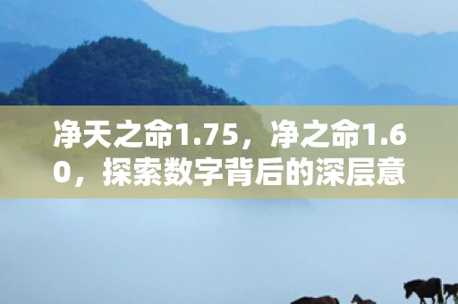 净天之命1.75，净之命1.60，探索数字背后的深层意义