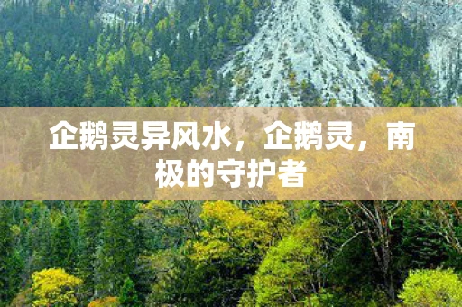 企鹅灵异风水，企鹅灵，南极的守护者