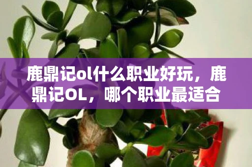 鹿鼎记ol什么职业好玩，鹿鼎记OL，哪个职业最适合你？