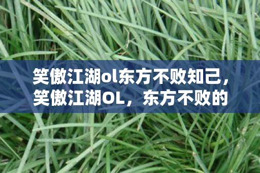 笑傲江湖ol东方不败知己，笑傲江湖OL，东方不败的传奇之路