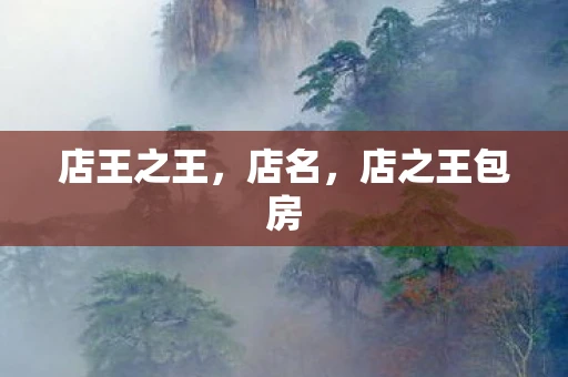 店王之王，店名，店之王包房