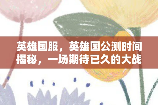 英雄国服，英雄国公测时间揭秘，一场期待已久的大战即将开启！