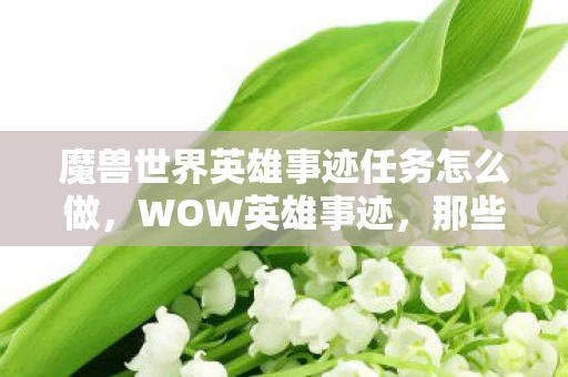 魔兽世界英雄事迹任务怎么做，WOW英雄事迹，那些令人热血沸腾的传奇故事
