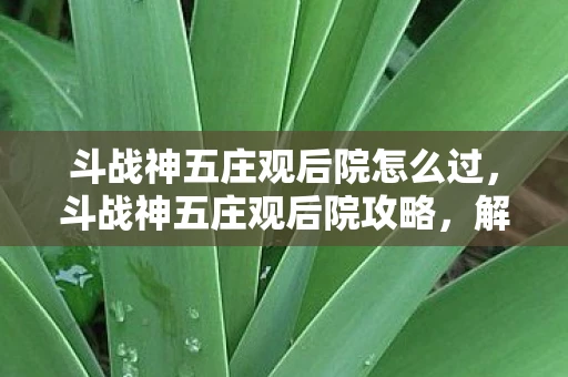 斗战神五庄观后院怎么过，斗战神五庄观后院攻略，解锁神秘后院，挑战强力BOSS