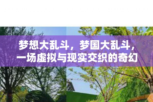 梦想大乱斗，梦国大乱斗，一场虚拟与现实交织的奇幻冒险