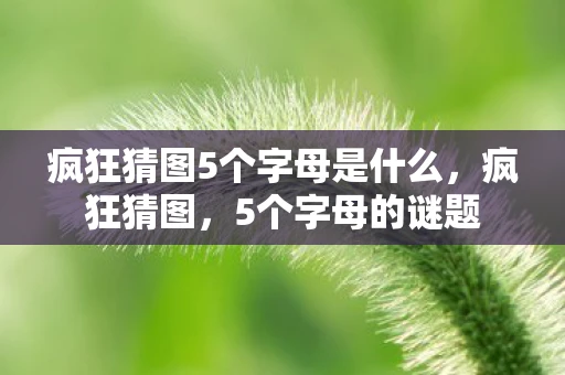 疯狂猜图5个字母是什么，疯狂猜图，5个字母的谜题