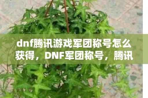 dnf腾讯游戏军团称号怎么获得，DNF军团称号，腾讯游戏新纪元下的荣耀象征