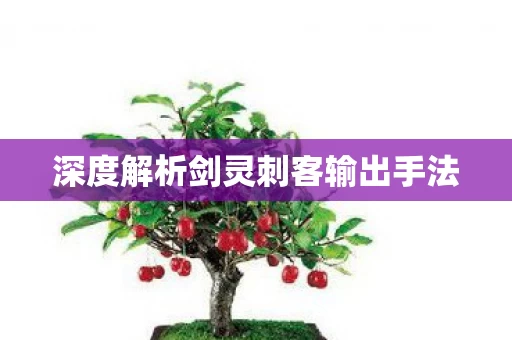 深度解析剑灵刺客输出手法图片