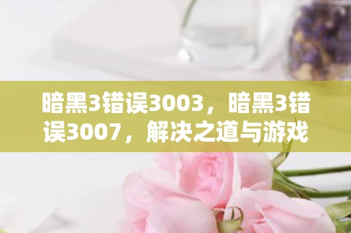 暗黑3错误3003，暗黑3错误3007，解决之道与游戏心得分享
