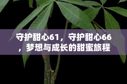 守护甜心61，守护甜心66，梦想与成长的甜蜜旅程
