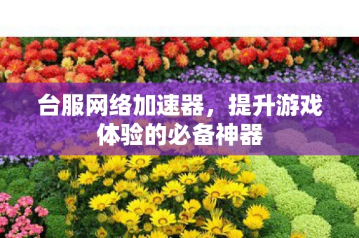 台服网络加速器，提升游戏体验的必备神器